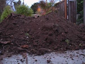 image from www.friscovista.com