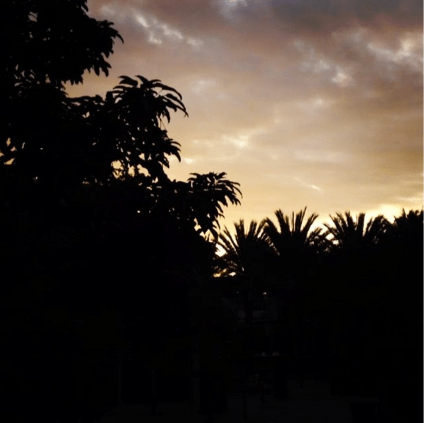 Screen Shot 2016-04-28 at 1.30.52 PM